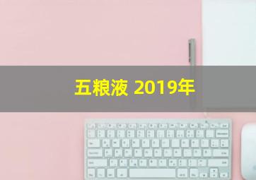 五粮液 2019年